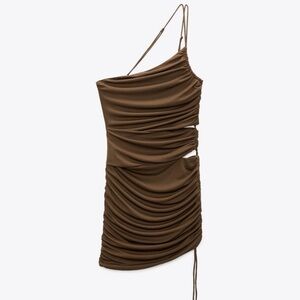 Brown Scrunched Zara Dress
